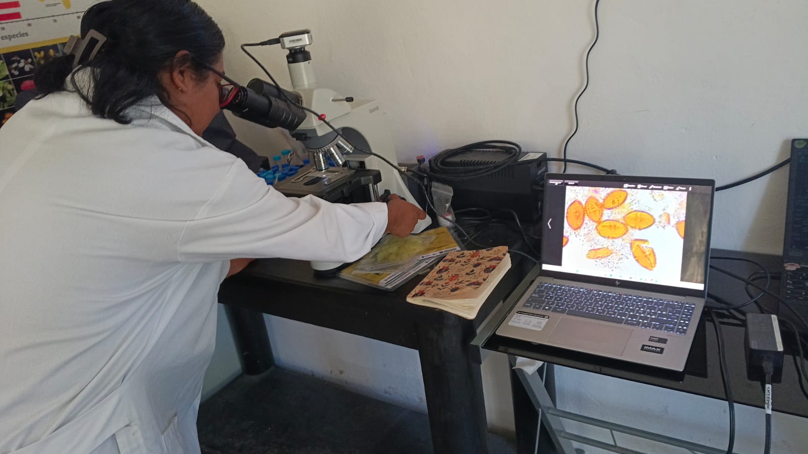 ESTANCIAS ACADÉMICAS Y DE INVESTIGACIÓN 03